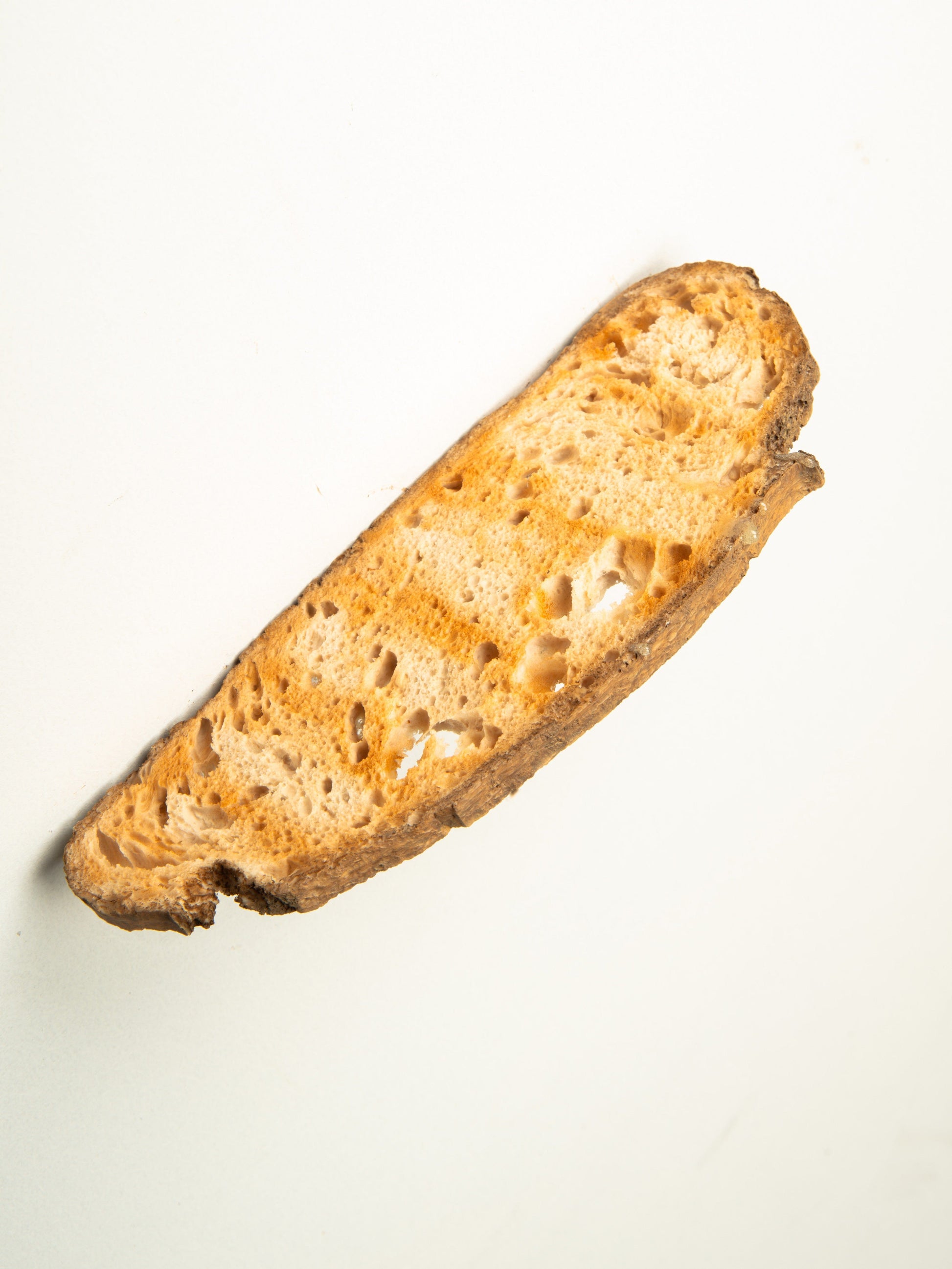 Commensalisme Bread Shelf - 10h24-Vincent Olinet-APOC STORE