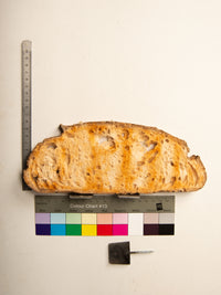 Commensalisme Bread Shelf - 10h24-Vincent Olinet-APOC STORE