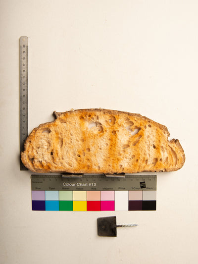 Commensalisme Bread Shelf - 10h24-Vincent Olinet-APOC STORE