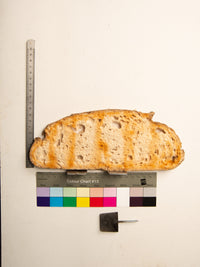 Commensalisme Bread Shelf - 10h24-Vincent Olinet-APOC STORE