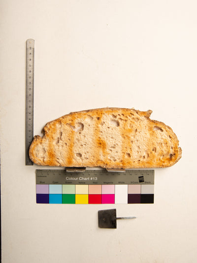 Commensalisme Bread Shelf - 10h24-Vincent Olinet-APOC STORE