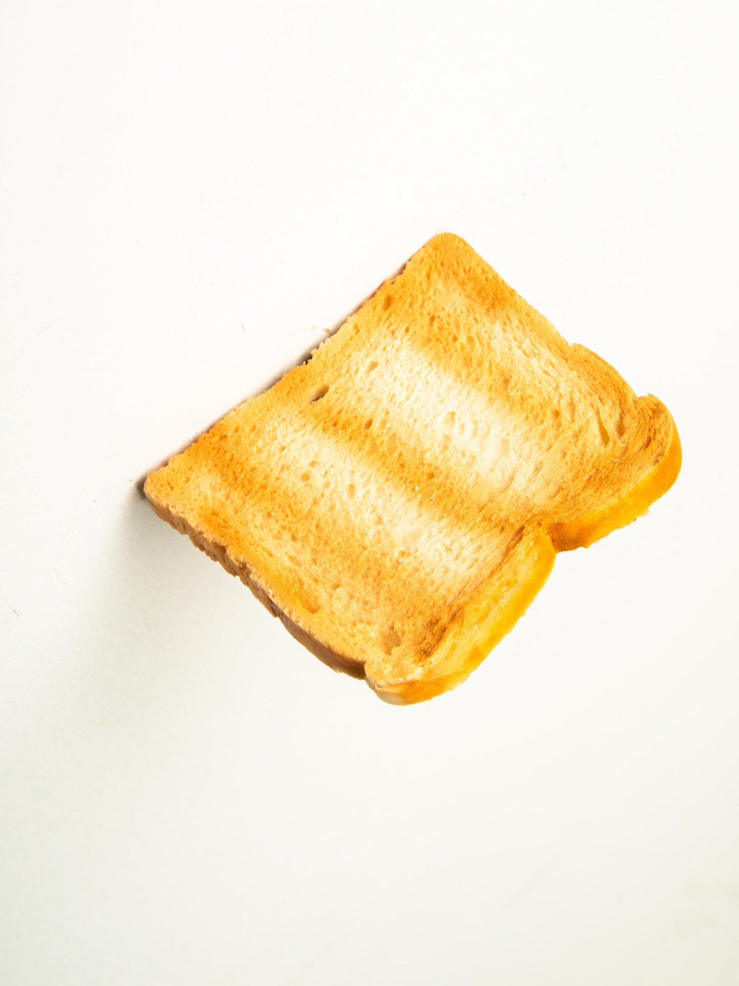 Commensalisme Bread Shelf - 08h40-Vincent Olinet-APOC STORE