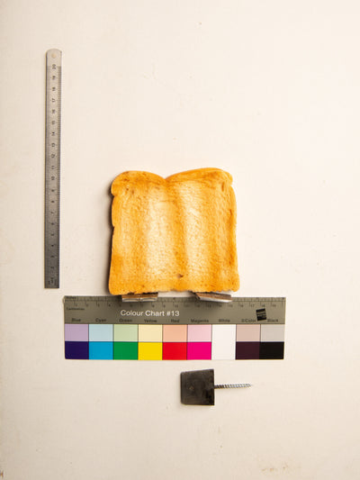 Commensalisme Bread Shelf - 08h40-Vincent Olinet-APOC STORE