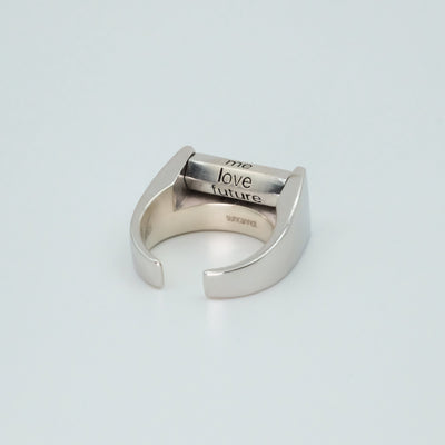 Fuck the world ring-Can Sun-APOC STORE