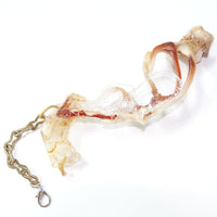 Eqph49 Hand Piece-VACSOM-APOC STORE