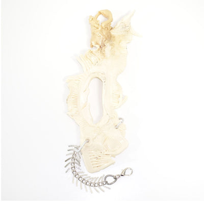 Eqph39 Hand Piece-VACSOM-APOC STORE