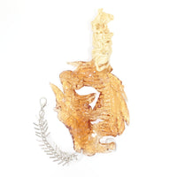 Eqph45 Hand Piece-VACSOM-APOC STORE