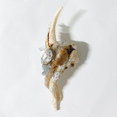 Eqpr150 Ring-VACSOM-APOC STORE