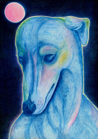 FULL MOON PRINT-Devils Claws-APOC STORE