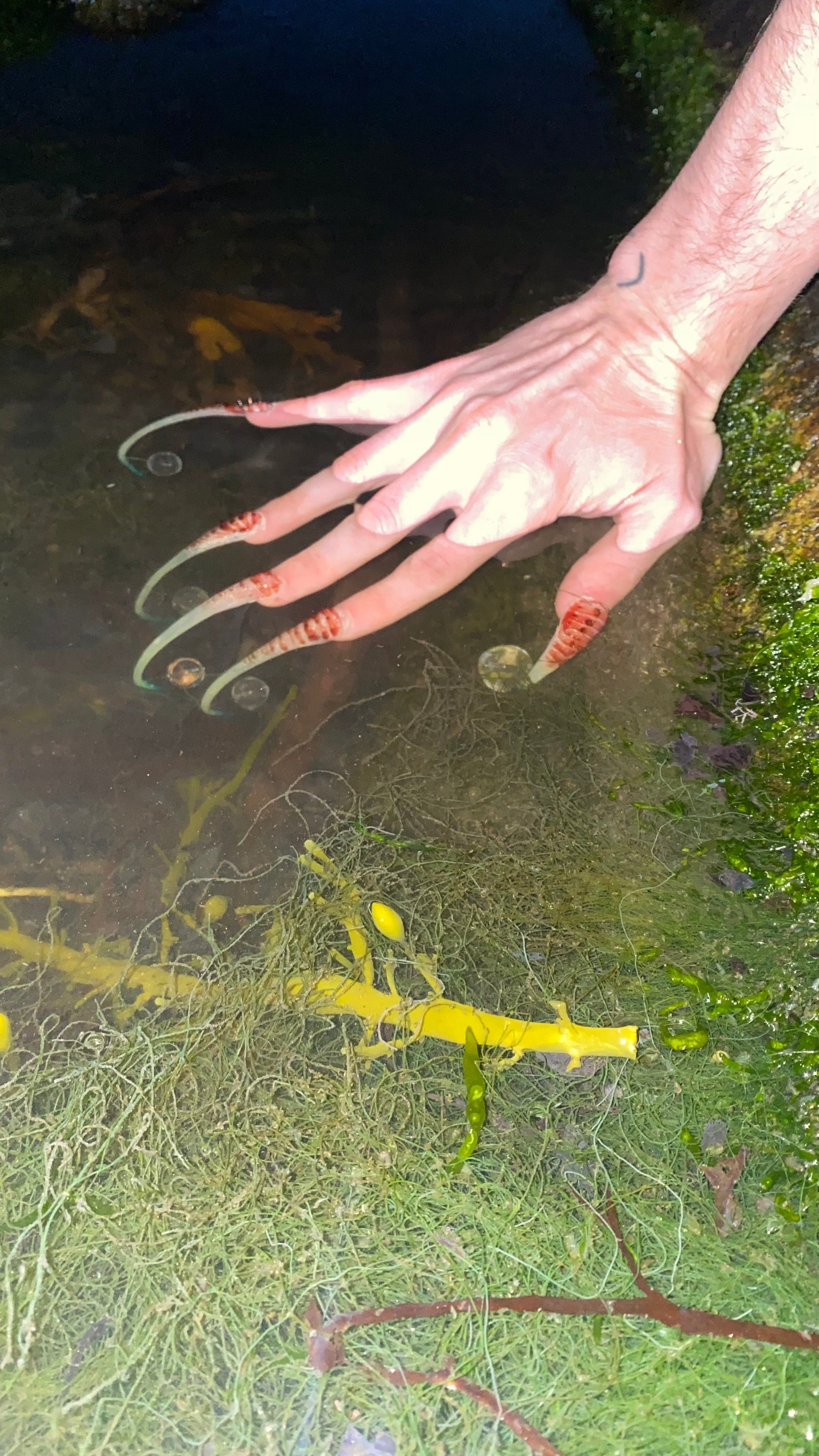 Globe-carrier nailset-Texto Dallas-APOC STORE