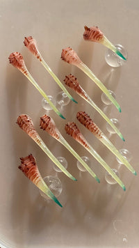 Globe-carrier nailset-Texto Dallas-APOC STORE