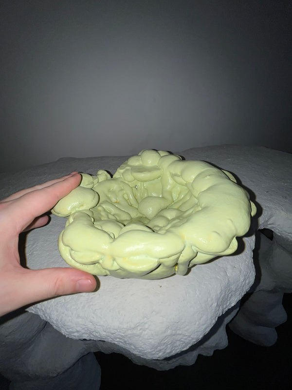 Verter Bowl-BVAR-APOC STORE