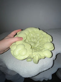 Verter Bowl-BVAR-APOC STORE