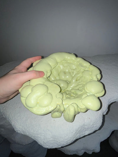 Verter Bowl-BVAR-APOC STORE