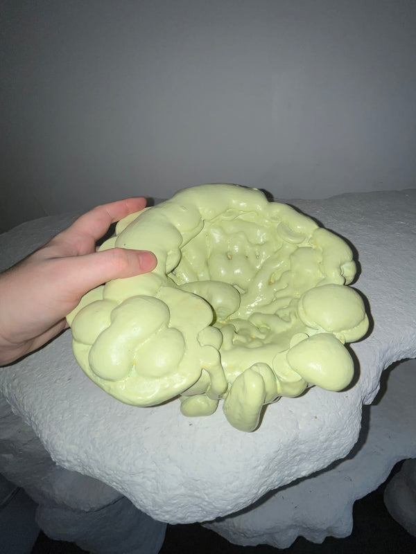 Verter Bowl-BVAR-APOC STORE