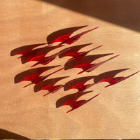 TD Claws Red Nail Set-Texto Dallas-APOC STORE