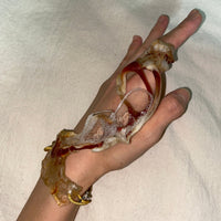 Eqph49 Hand Piece-VACSOM-APOC STORE