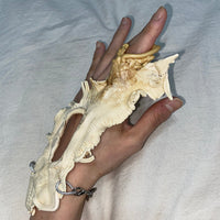 Eqph39 Hand Piece-VACSOM-APOC STORE