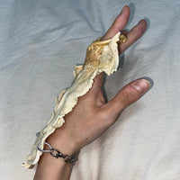 Eqph39 Hand Piece-VACSOM-APOC STORE