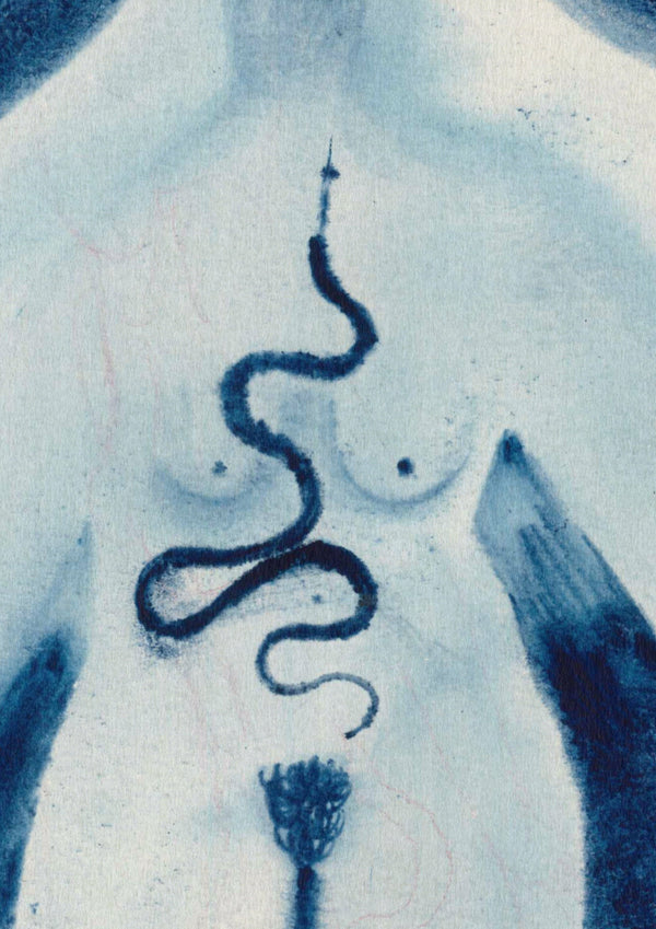 SNAKE-Devils Claws-APOC STORE