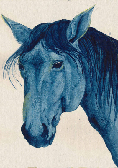 BLUE HORSE-Devils Claws-APOC STORE