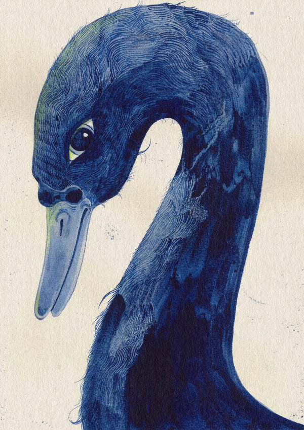 THE SWAN-Devils Claws-APOC STORE