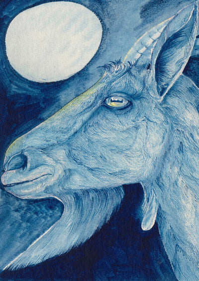 FULL MOON-Devils Claws-APOC STORE