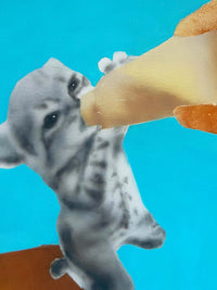 Kitten With His Baba-NALANI TRAN-APOC STORE
