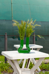 Vasi vase (Grass green)-(a.o.t)-APOC STORE