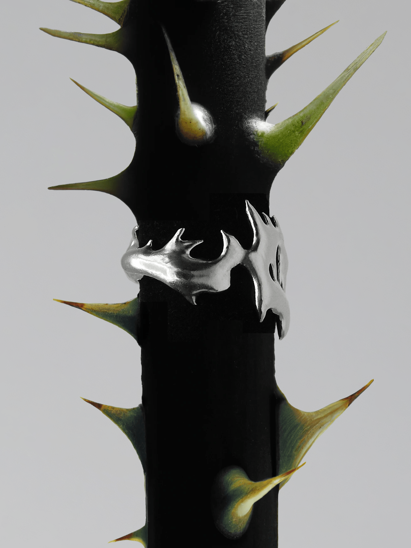 Mantis Thorns Ring-Miosis Design-APOC STORE