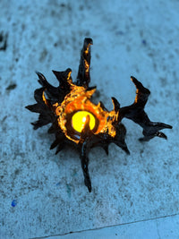 Number: 16-KRATER.OBJECTS-APOC STORE