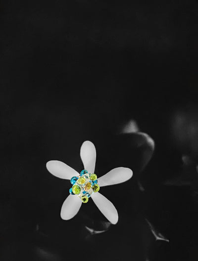 Sister Studs-Edy Bridges-APOC STORE