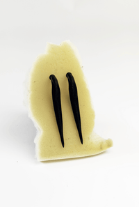 LEECH EARRINGS STRAIGHT (pair)-Puer Parasitus-APOC STORE