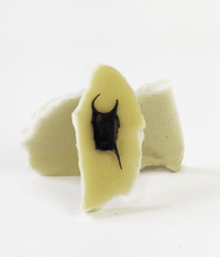 RAY EGG EARRINGS (single)-Puer Parasitus-APOC STORE