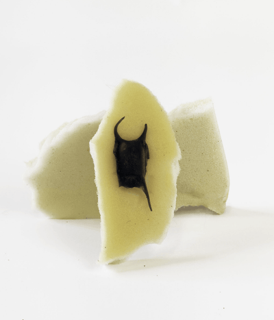 RAY EGG EARRINGS (single)-Puer Parasitus-APOC STORE