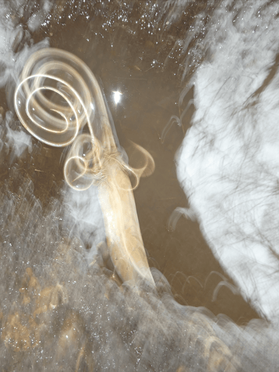 The rusty knife-Chloe Arrouy-APOC STORE