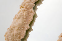 1 of 1 Botryoidal mirror yellow-Elissa Lacoste-APOC STORE