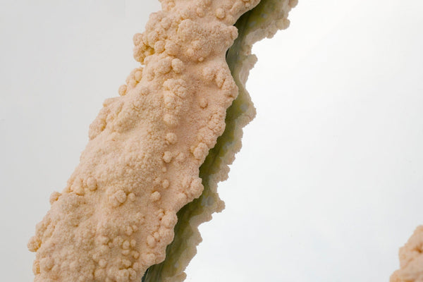 1 of 1 Botryoidal mirror yellow-Elissa Lacoste-APOC STORE