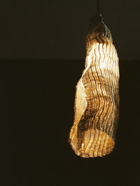 Draia Pendant lamp-Ia Kutateladze-APOC STORE