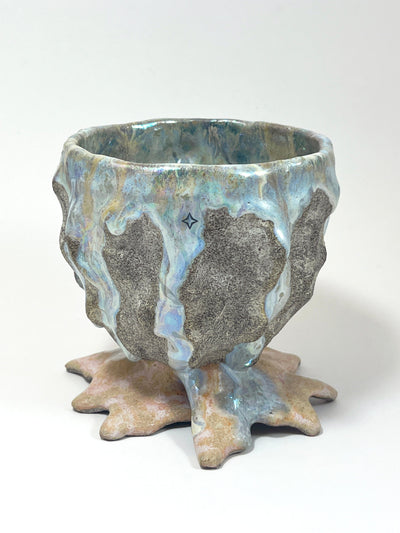 Abalone Bowl-Kaley Flowers-APOC STORE