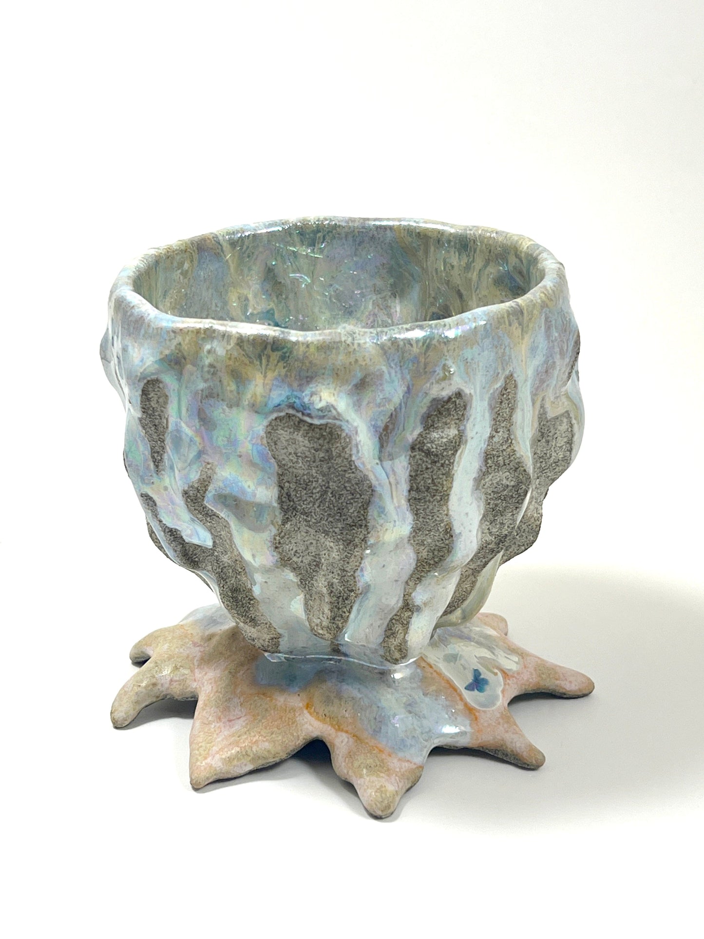 Abalone Bowl-Kaley Flowers-APOC STORE