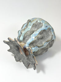 Abalone Bowl-Kaley Flowers-APOC STORE