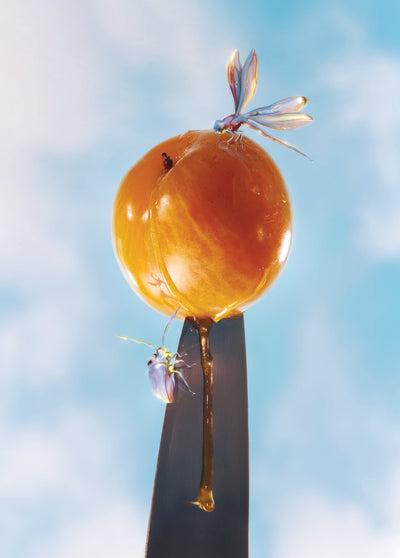 A symbiotic view of life-Alex Valentina-APOC STORE