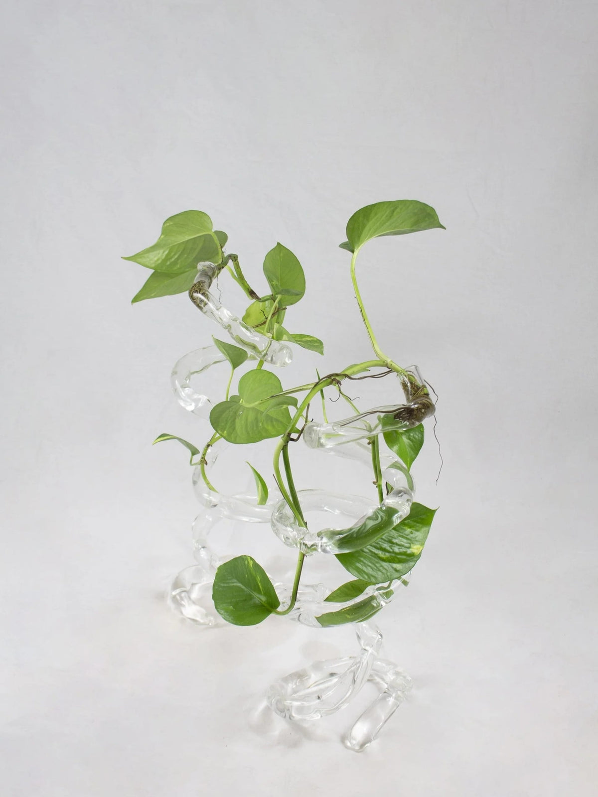 Espiral Vase-Rain and Rivers-APOC STORE