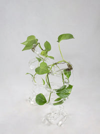 Espiral Vase-Rain and Rivers-APOC STORE