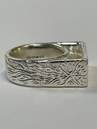 Birds and a comet ring-WILLA / HILFREICH-APOC STORE