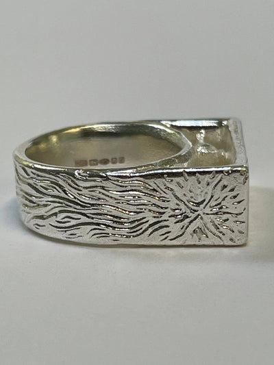 Birds and a comet ring-WILLA / HILFREICH-APOC STORE