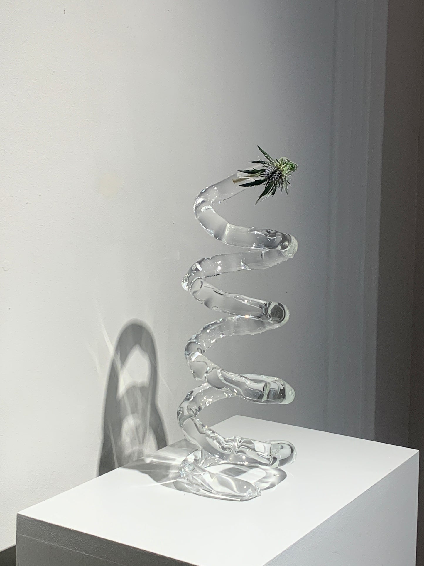 Espiral-Rain and Rivers-APOC STORE