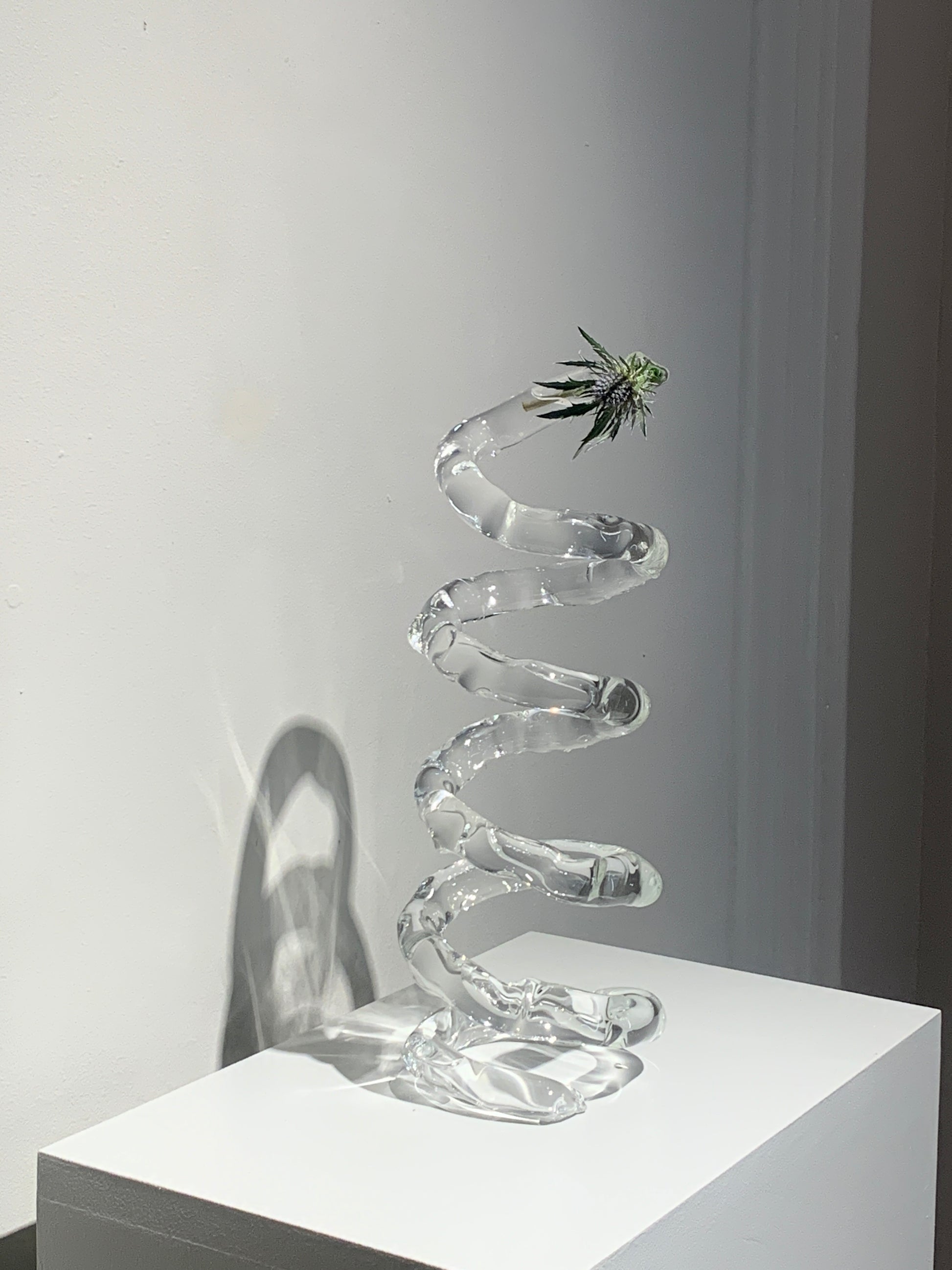 Espiral-Rain and Rivers-APOC STORE