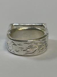 Birds and a comet ring-WILLA / HILFREICH-APOC STORE